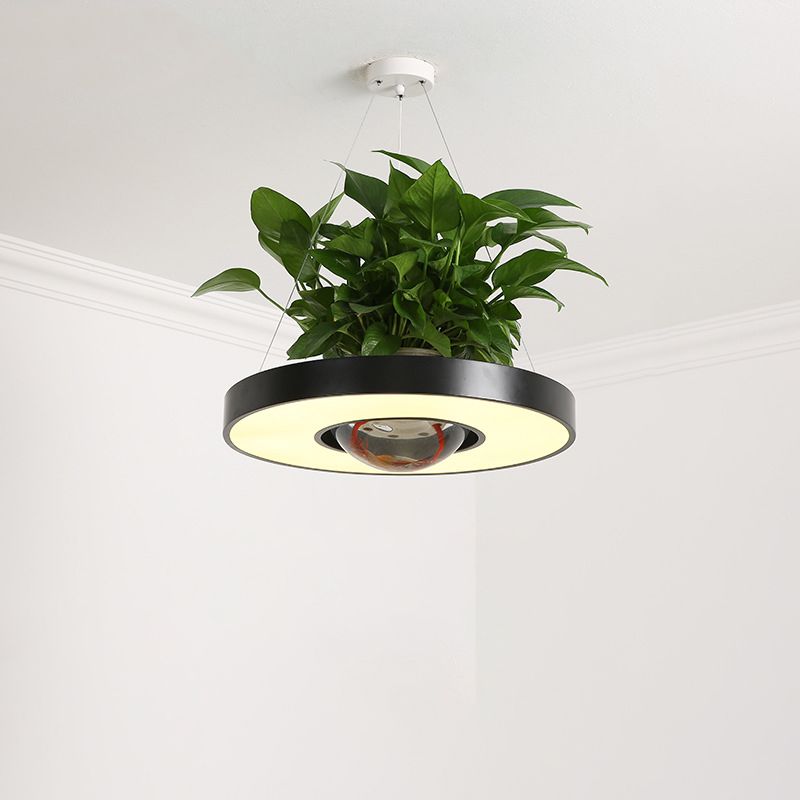 16"/19.5" W Acrylic LED Ceiling Hang Light Nordic Black/White/Green Circle Dining Room Down Lighting with Fish Bowl