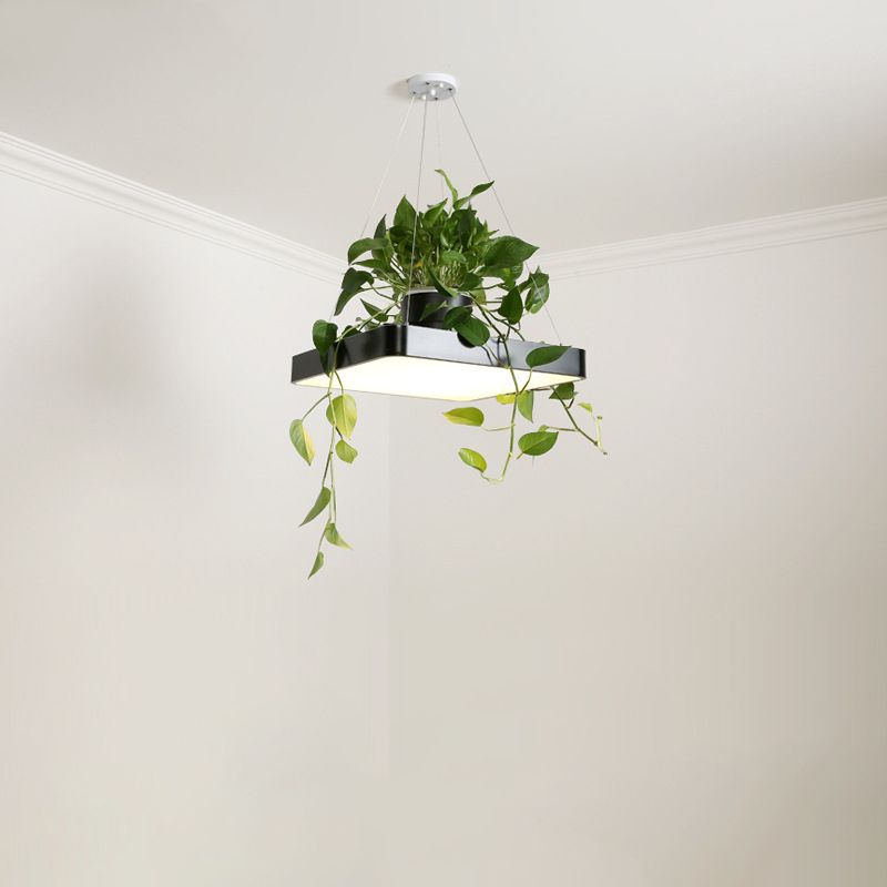 Square Restaurant Ceiling Pendant Nordic Acrylic Black/White/Blue LED Hanging Lamp Kit with Plant Container, 16"/19.5" W