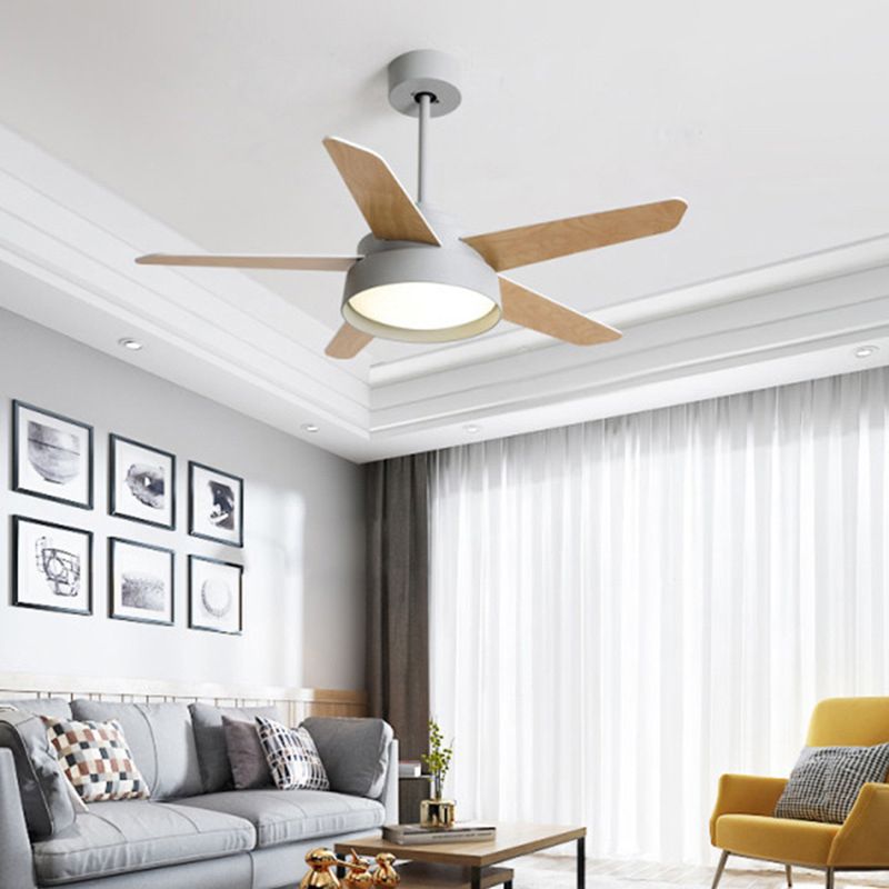 Modern Single Polished Ceiling Fan Lamp LED Shaded Ceiling Fan Light for Dining Room