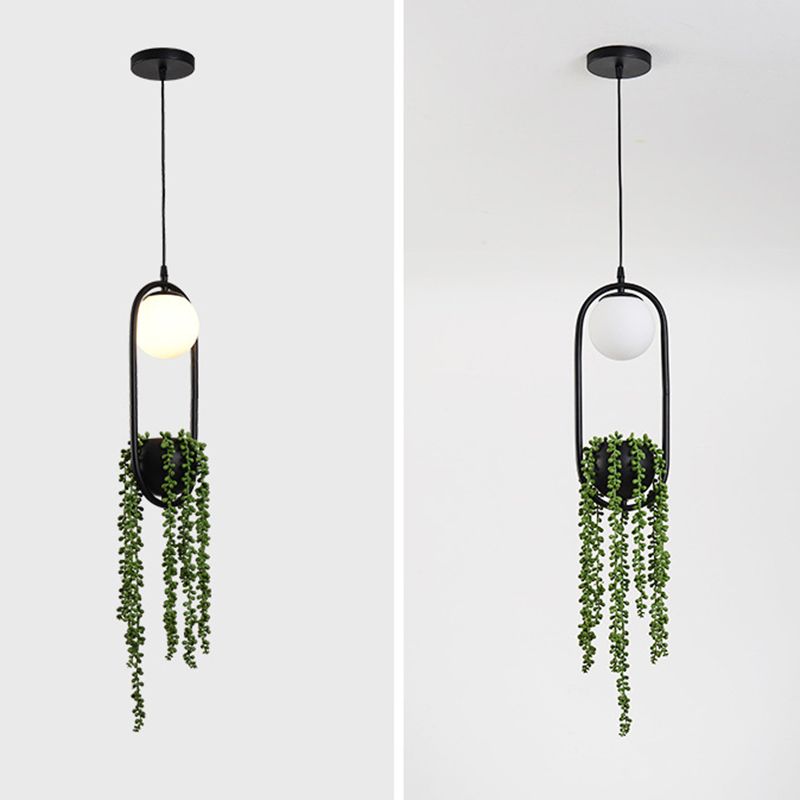 Black 1 Light Spherical Pendant Light Nordic Retro Oval Metal Ring Shade Hanging Lamp with Green Plant