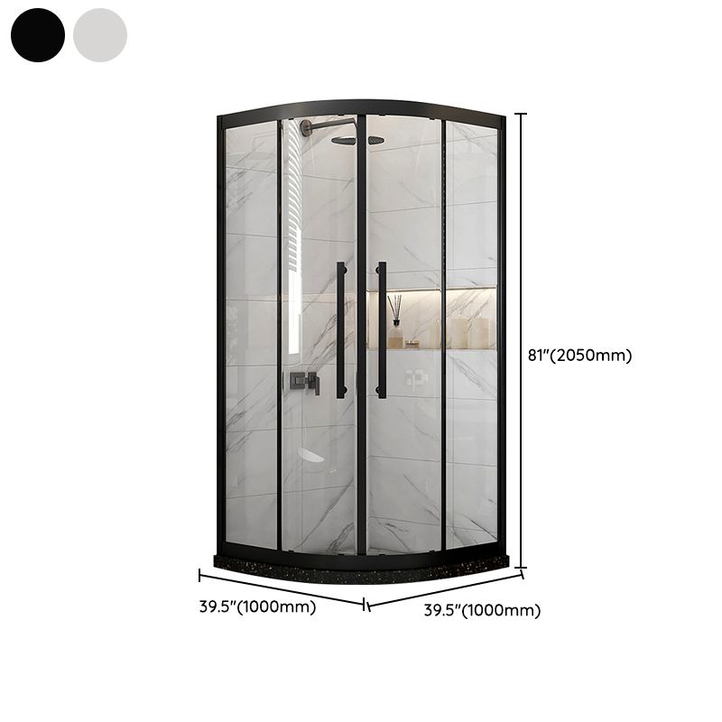 Modern Shower Stall Tempered Glass Double Sliding Neo-Round with Door Handles Shower Kit