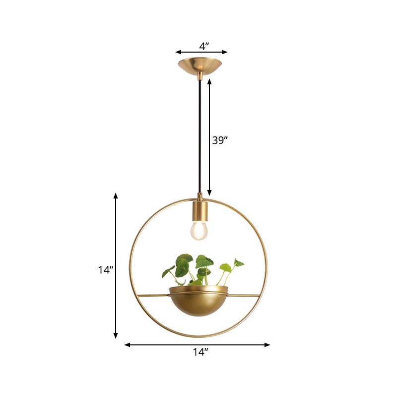 Gold 1 Head Pendant Lamp Industrial Metal Round Hanging Ceiling Light with Plant Decoration