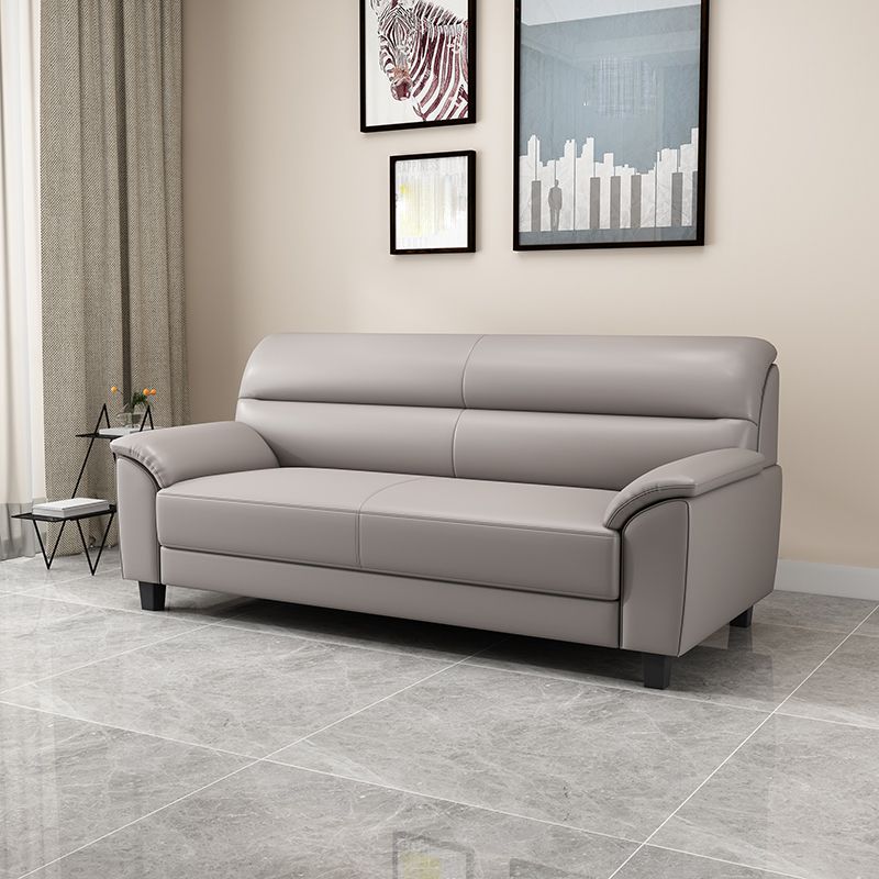 Contemporary Pillow Top Arm Sofa Single Cushion Seat for Living Room