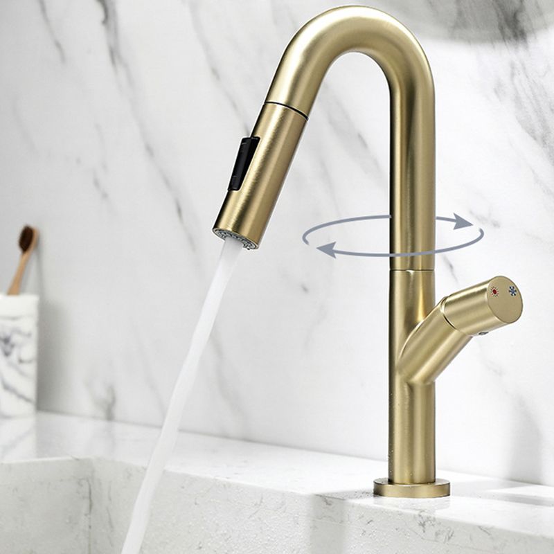 High-Arc Modern Style Bathroom Faucet Single Handle Pull-out Faucet