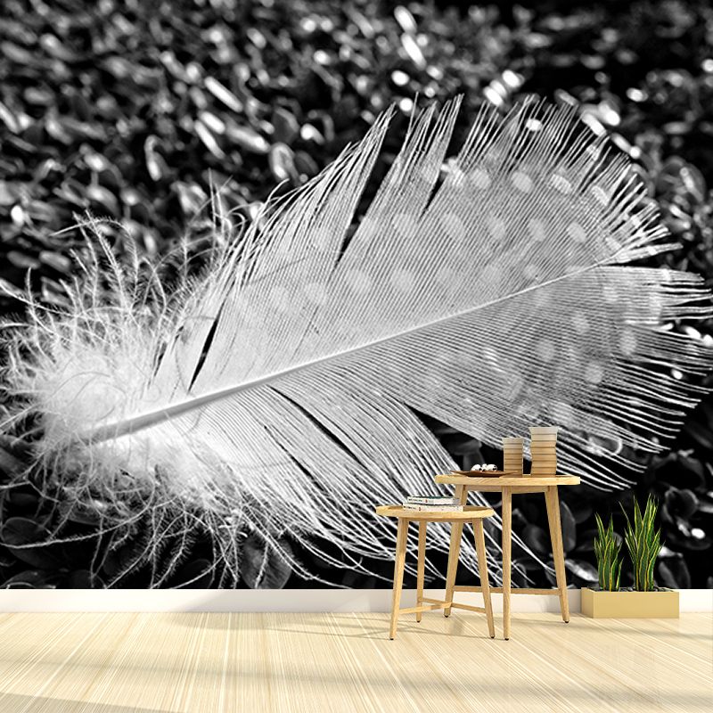 Modern Feather Wallpaper Mildew Resistant Photography Decorative Wall Mural