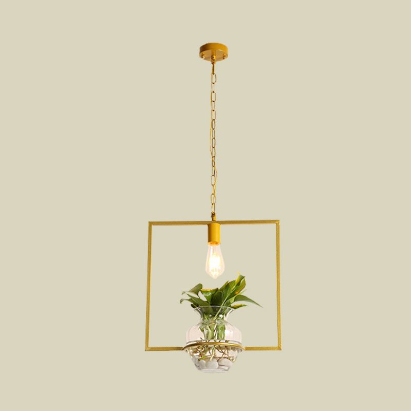 Vintage Square/Round/Gourd Pendant 1 Bulb Iron Down Lighting in Gold with Potted Plant for Living Room