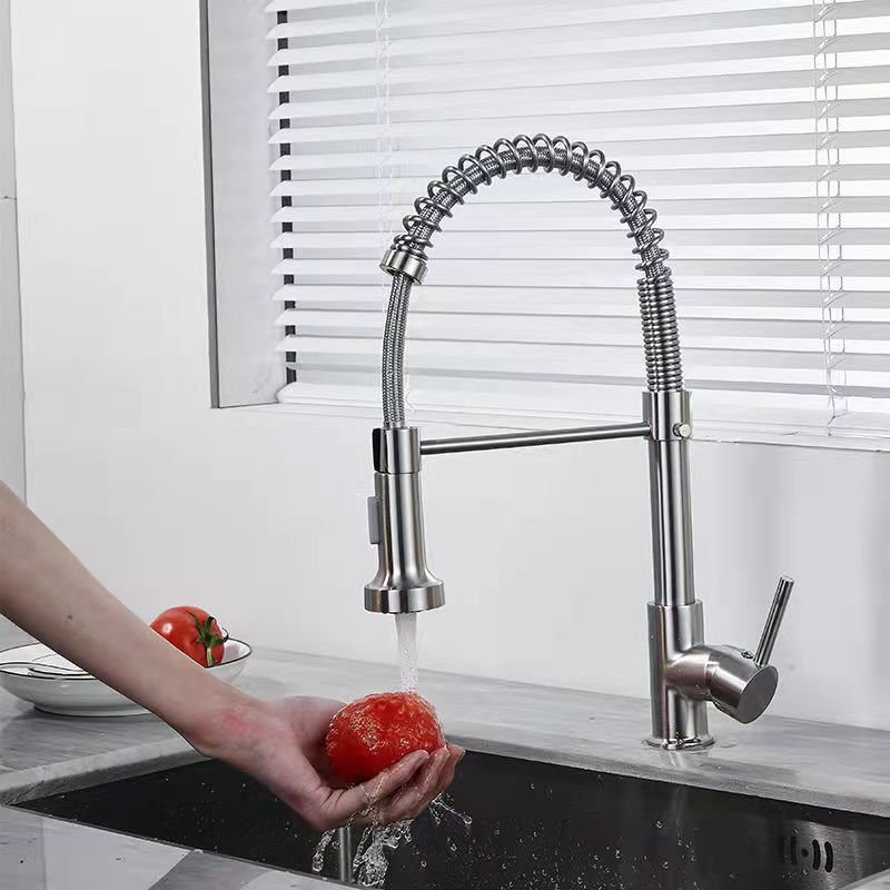 1-Handle Faucets with Water Dispenser Spring Spout Standard Kitchen Faucets