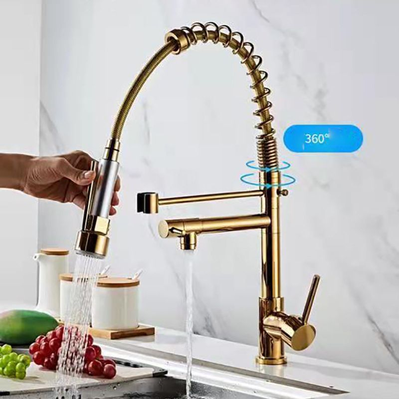 Modern Spring Spout Faucets Handle with Water Dispenser Standard Kitchen Faucets