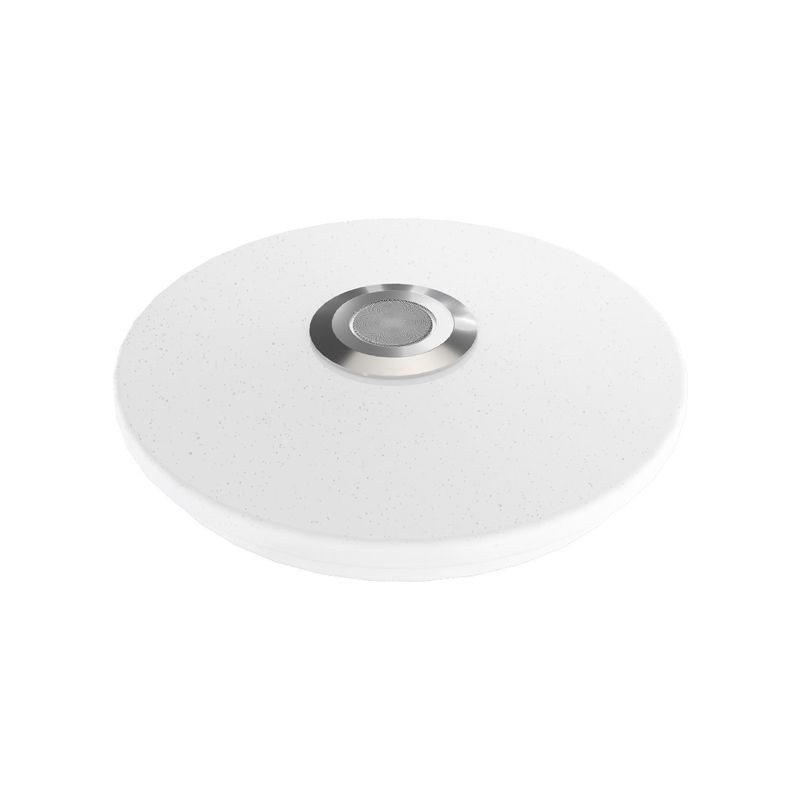 Acrylic Circle Ceiling Mount Light Fixture Modern Style LED White Ceiling Mounted Light