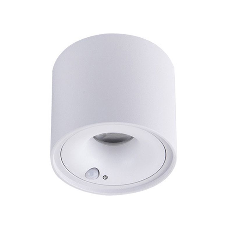 Modern in Black / White Flush 1 - Light Cylinder LED Ceiling Mount