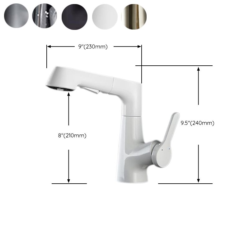 Contemporary Kitchen Faucet Single Handle 2-Function Faucet with Pull out Sprayer