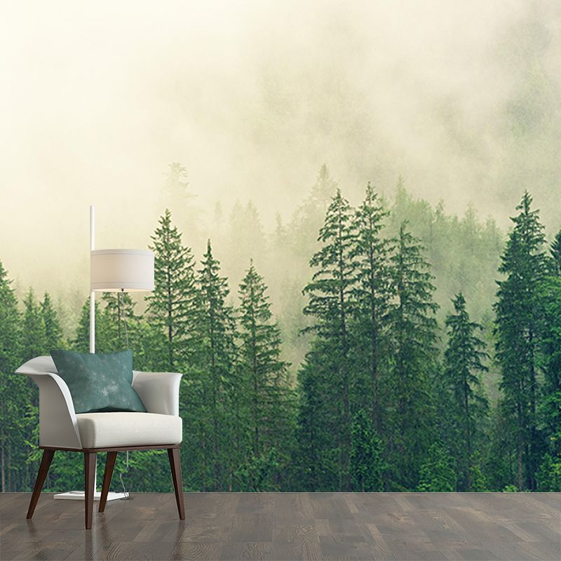 Photography Wall Mural Forest Oriental Stain Resistant Interior Mural