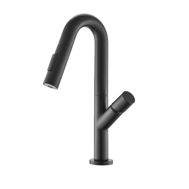 High-Arc Modern Style Bathroom Faucet Single Handle Pull-out Faucet