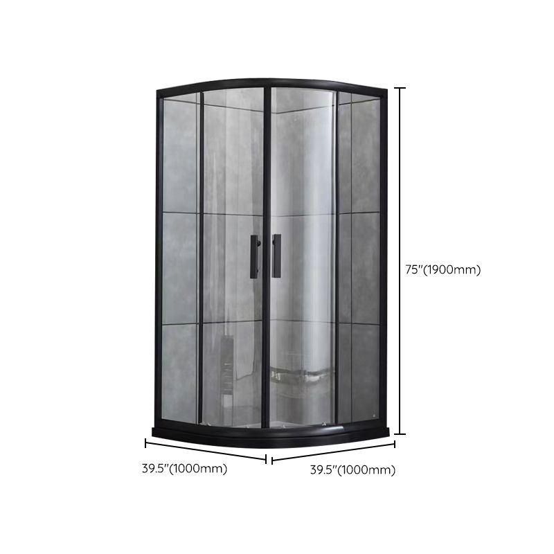 Tempered Glass Shower Stall with Fixed Panel Rounded Shower Stall