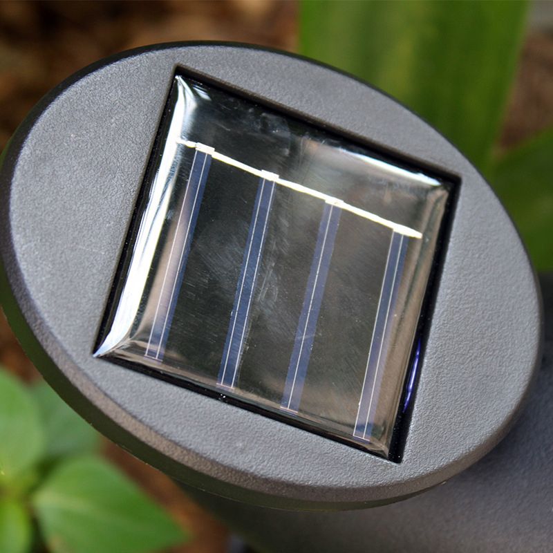 Tapered Shape Plastic LED Stake Spotlight Modern Black Solar Lawn Lighting for Backyard