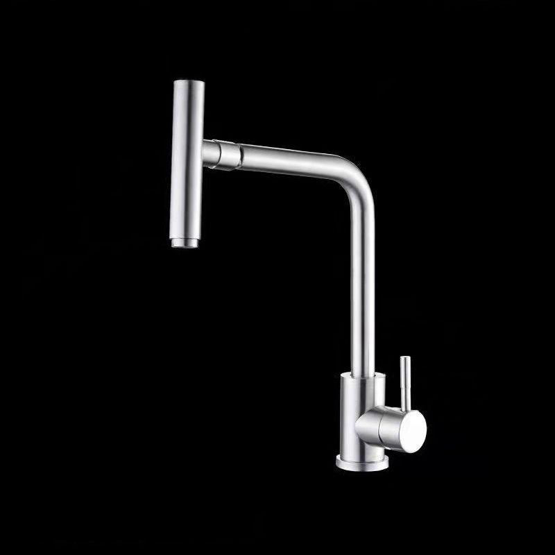 1-Handle Faucets with Water Dispenser Stainless Steel Standard Kitchen Faucets