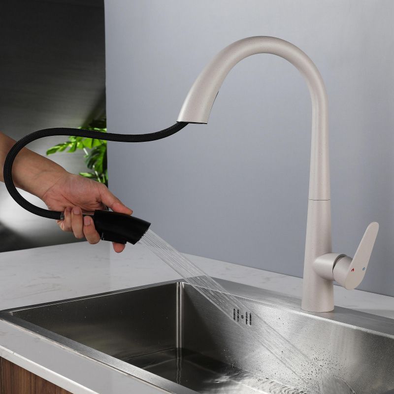 Modern Style Retractable Kitchen Faucet 304 Stainless Steel 1-Handle Kitchen Faucet