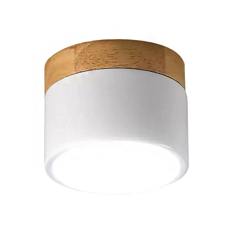 Simple Stylish Drum Ceiling Mount Light Acrylic LED Spot Light in White for Living Lift