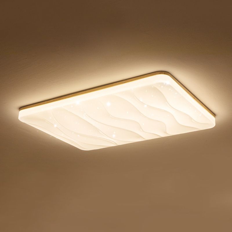 Unique Shape Flush Ceiling Lights Modern Acrylic Flush Mount Lighting