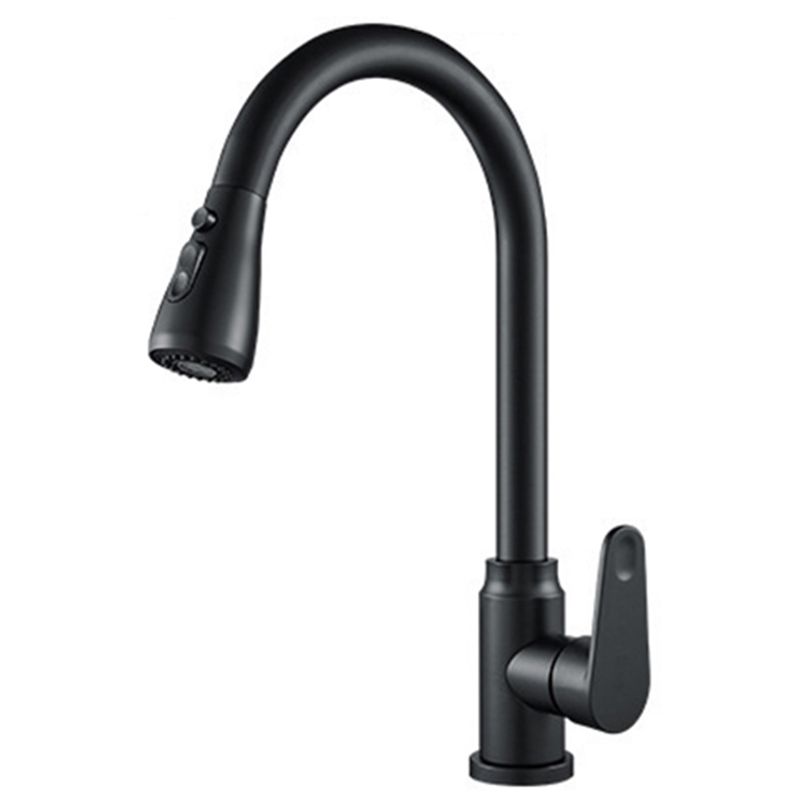 Modern 1-Handle Faucet with Pull out Sprayer with Water Dispenser Copper Faucet