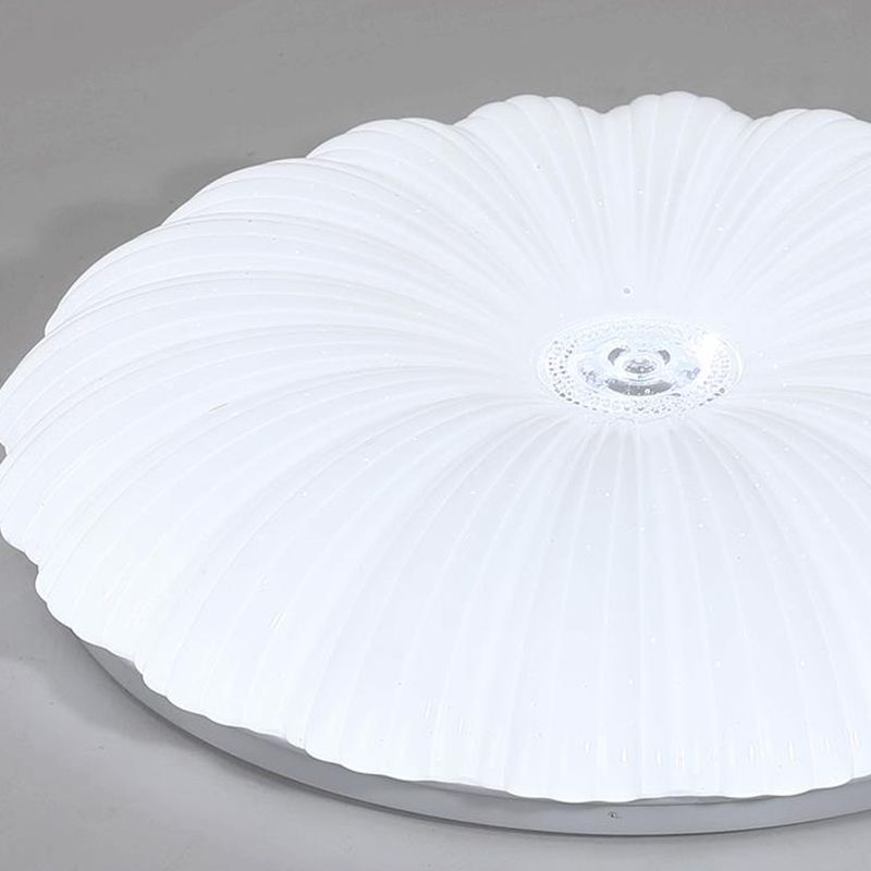 LED Modern Metal Flush Mount Shell Shape Ceiling Light with Acrylic Shade for Living Room