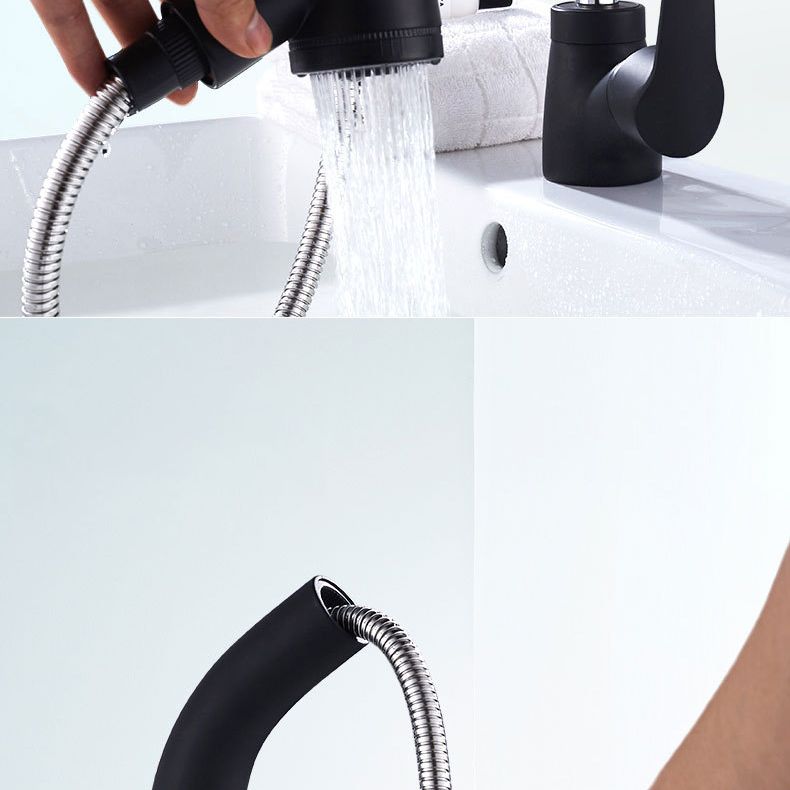 Modern 1-Handle Faucet 1-Hole with Water Dispenser Copper Pull down Faucet