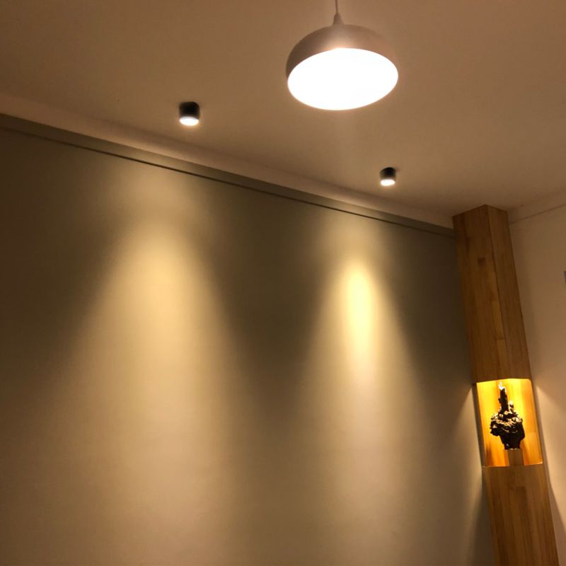 Aluminium Drum Down Light Style simple Black Led Flush Ceiling Light for Hallway