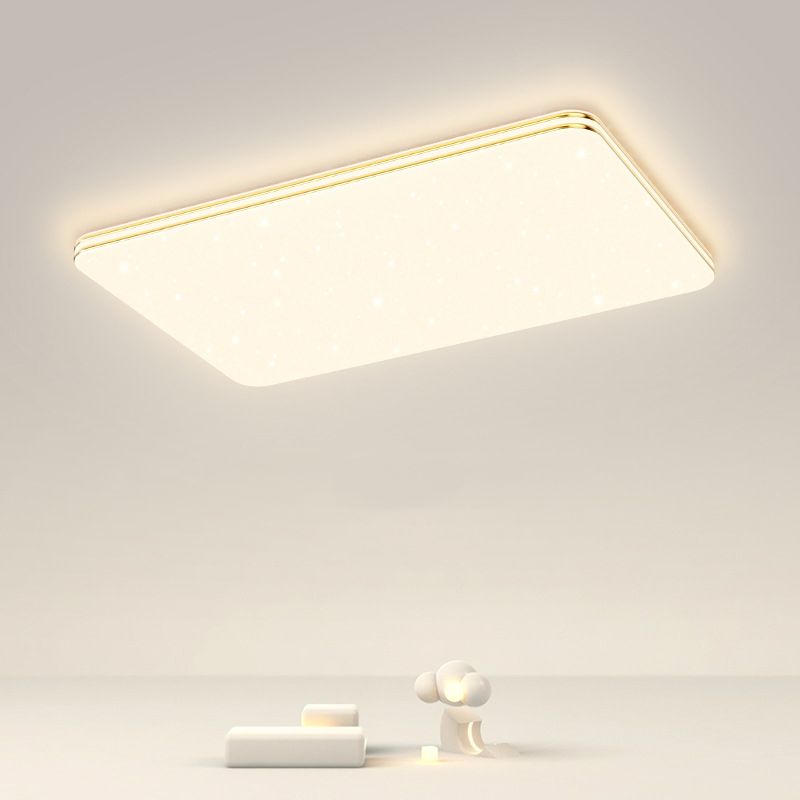 Single Golden Flush Mount Lighting LED Ceiling Light for Living Room