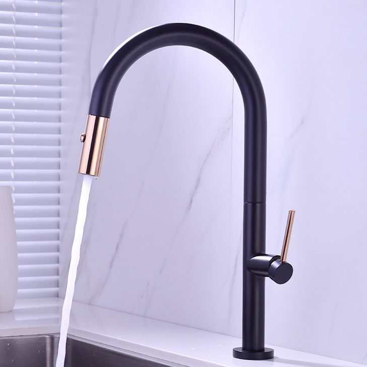 Modern Kitchen Faucet Brass Pull out Faucet with Sprayer and Magnetic Docking Pot Filler