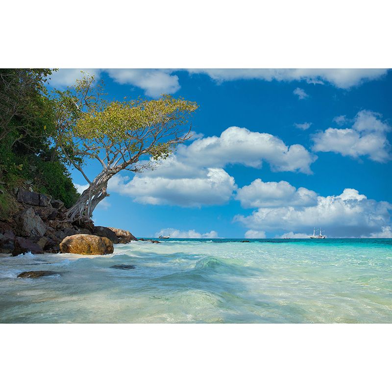 Tropics Seascape Wall Paper Mural Mildew Resistant Soft Color Wall Art for Bathroom