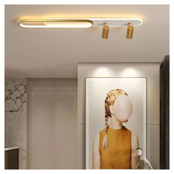 Acryl ovaal LED Semi Flush Mount in moderne beknopte stijl metalen plafondlicht voor gang