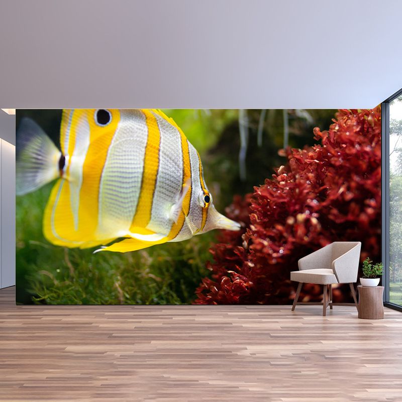 Decorative Modern Photography Wallpaper Undersea Home Decoration Wall Mural