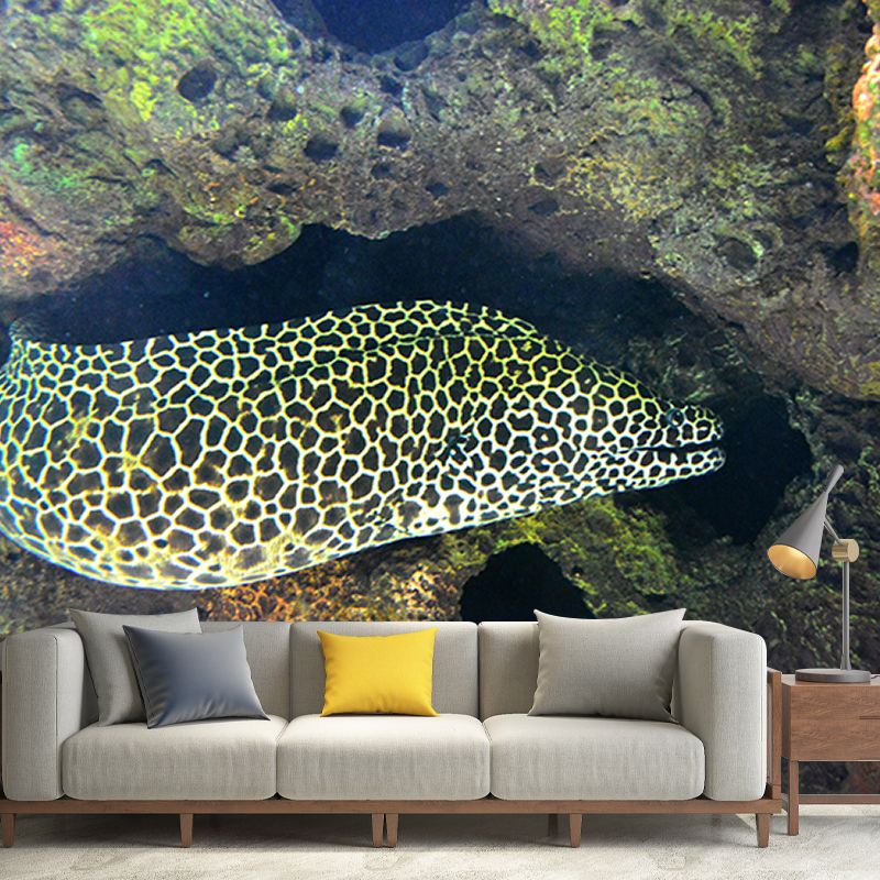 Photography Wall Mural Stain Resistant Environmental Bathroom Fish Wallpaper