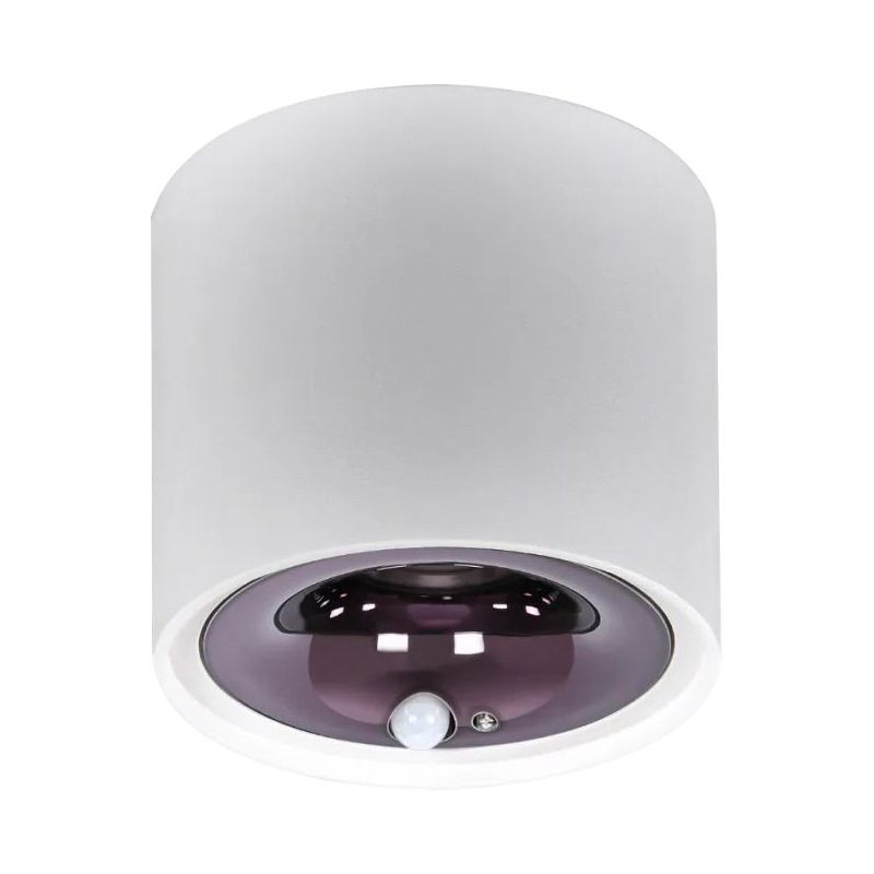 Modern in Black / White Flush 1 - Light Cylinder LED Ceiling Mount