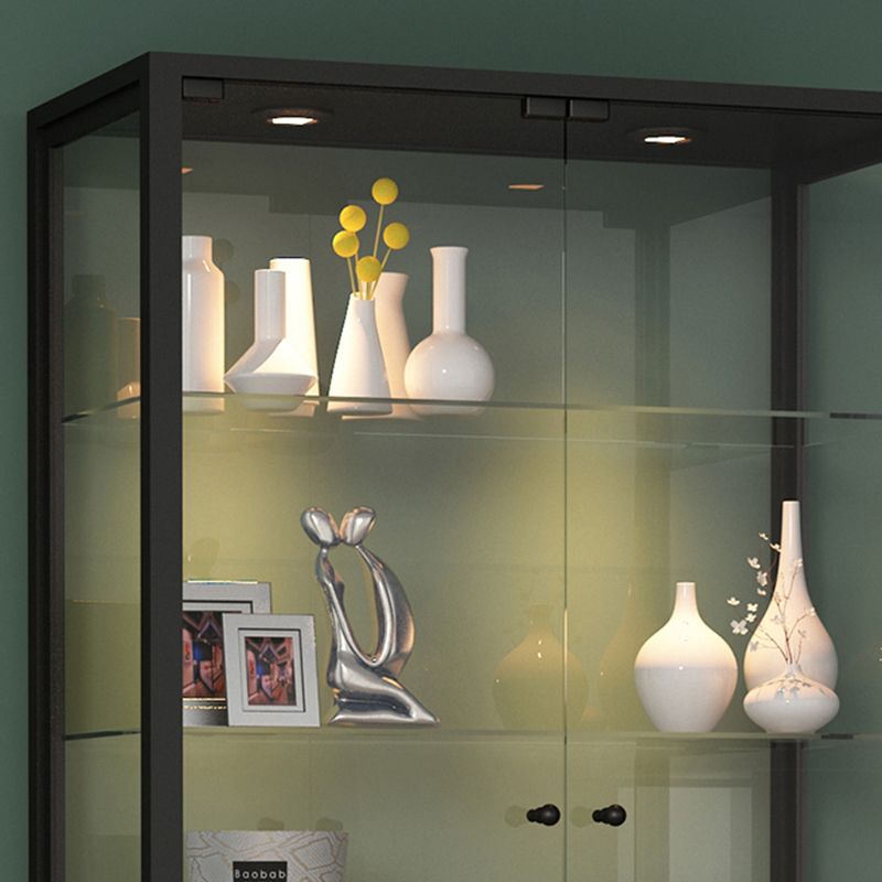 Modern Metal Curio Cabinet Glass Doors with Lighting, 31"L X 16"W