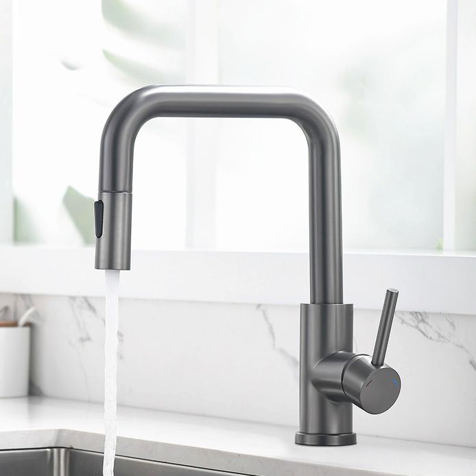 Modern Pull Out Single Rotary Switch Kitchen Faucet High Profile Faucet