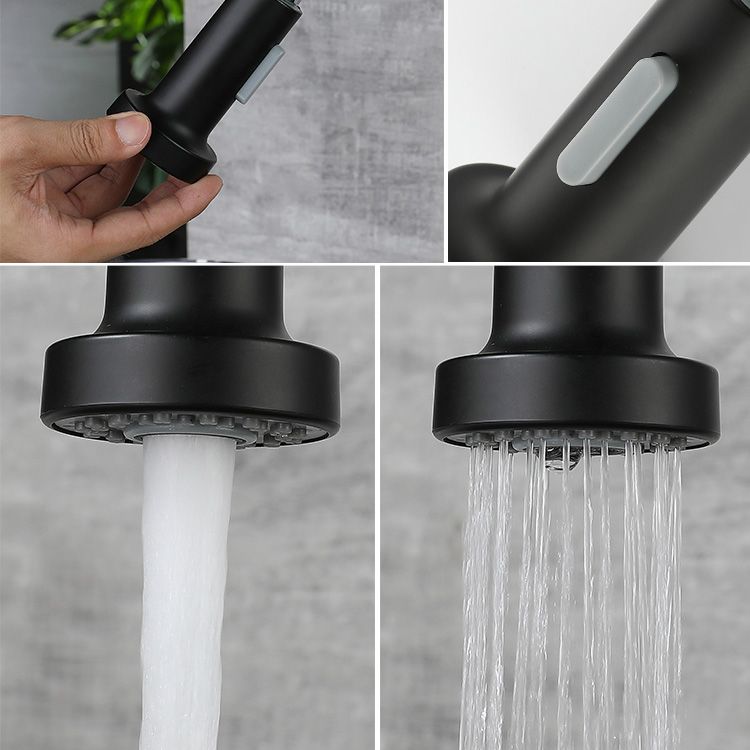 Modern Spring Spout Faucets 1-Handle 1-Hole with Water Dispenser Standard Kitchen Faucets