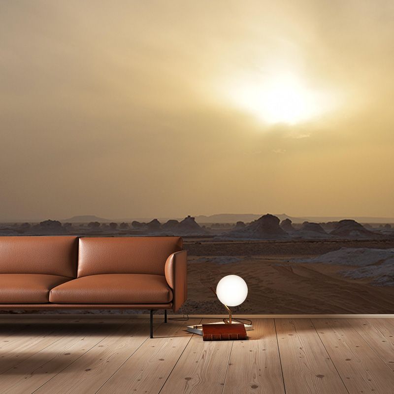 Wall Mural Desert Environmental Photographhy Living Room Mural Wallpaper