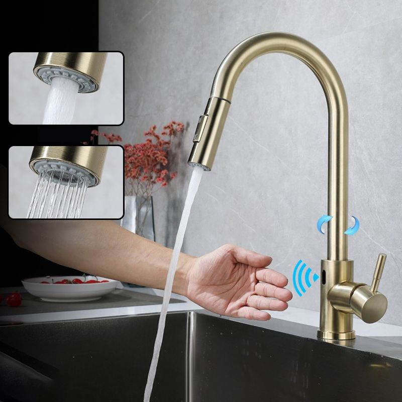 Pull Down Sprayer Bar Kitchen 1-Hole Kitchen Faucet with Supply Lines