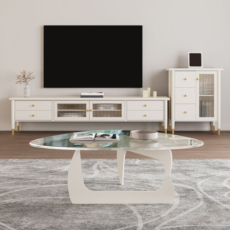 Contemporary Media Console Wood Enclosed Storage TV Console with Doors