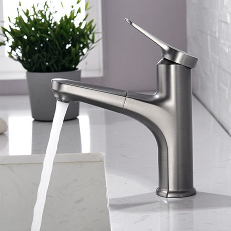 Modern 1-Handle Faucet with Water Dispenser Copper with Pull out Sprayer Faucet