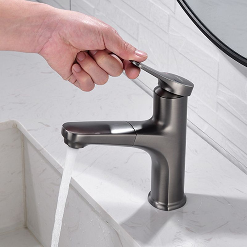 Modern 1-Handle Faucet with Water Dispenser Copper with Pull out Sprayer Faucet