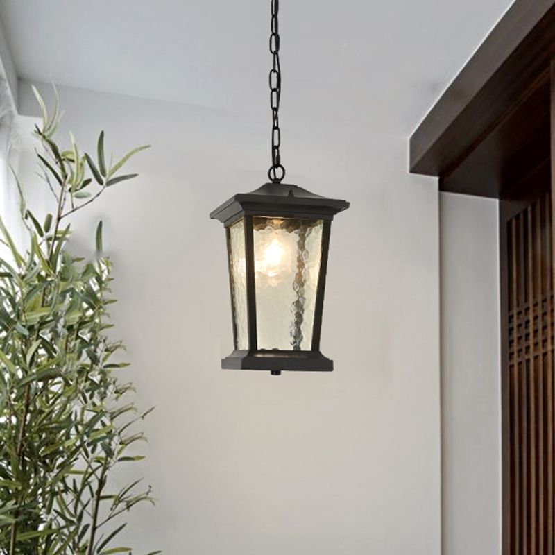 Single Head Birdcage Ceiling Light Countryside Black Water Glass Down Lighting Pendant