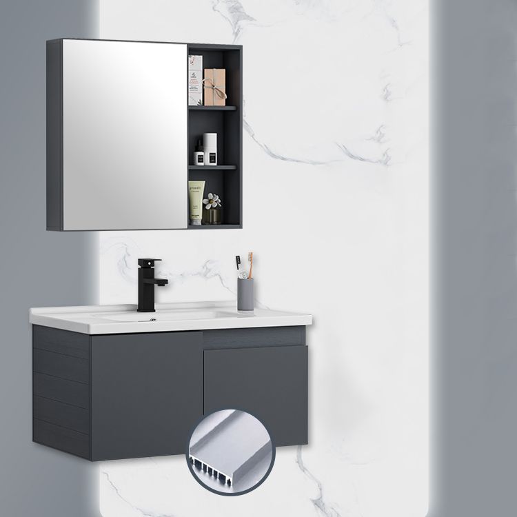 Grey Bath Vanity Wall Mount Rectangular Single Sink Mirror Metal Frame Vanity with Doors