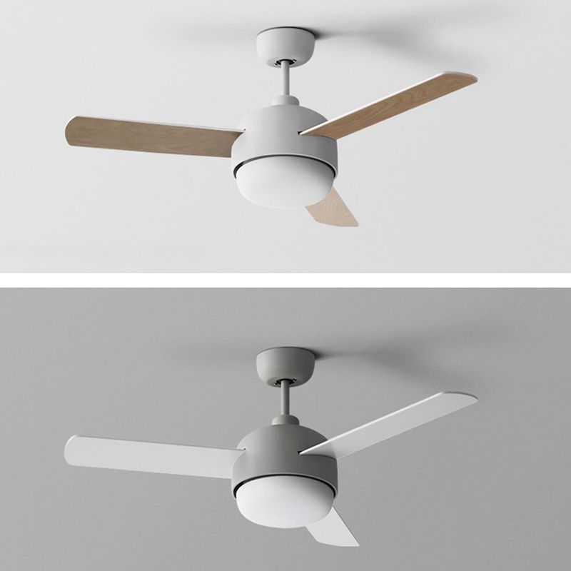 Fan Shape Metal Ceiling Fan Modern Style 1-Light Ceiling Fans Fixtures