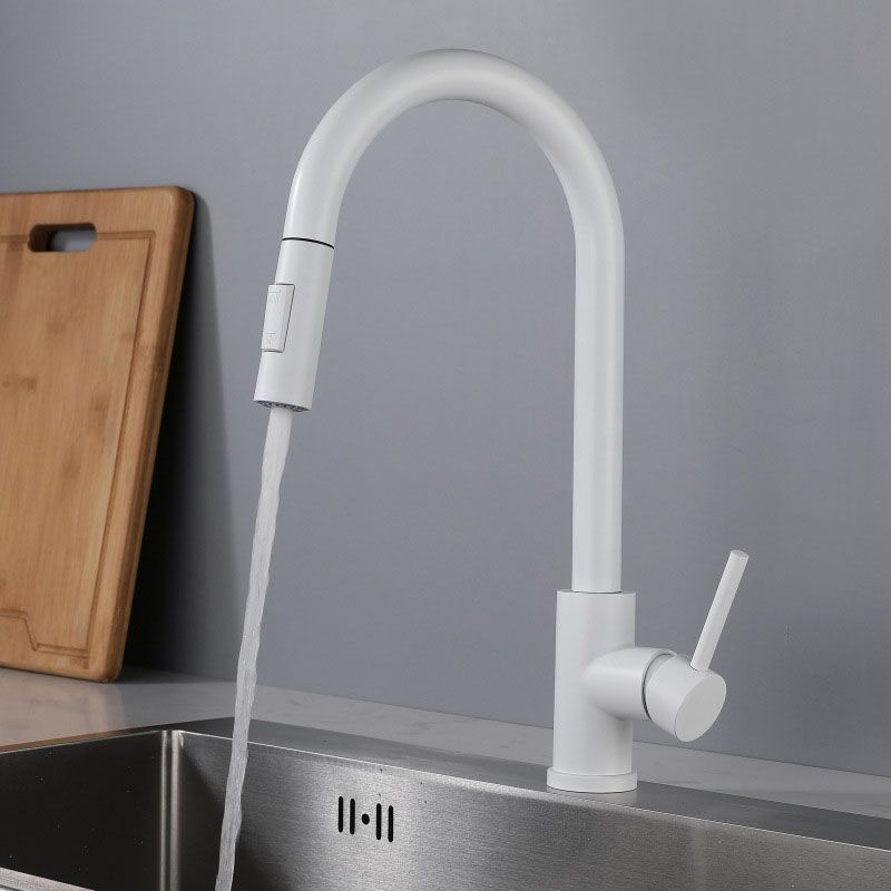 Contemporary Single Handle Kitchen Faucet 1-Hold Faucet with Pull out Sprayer