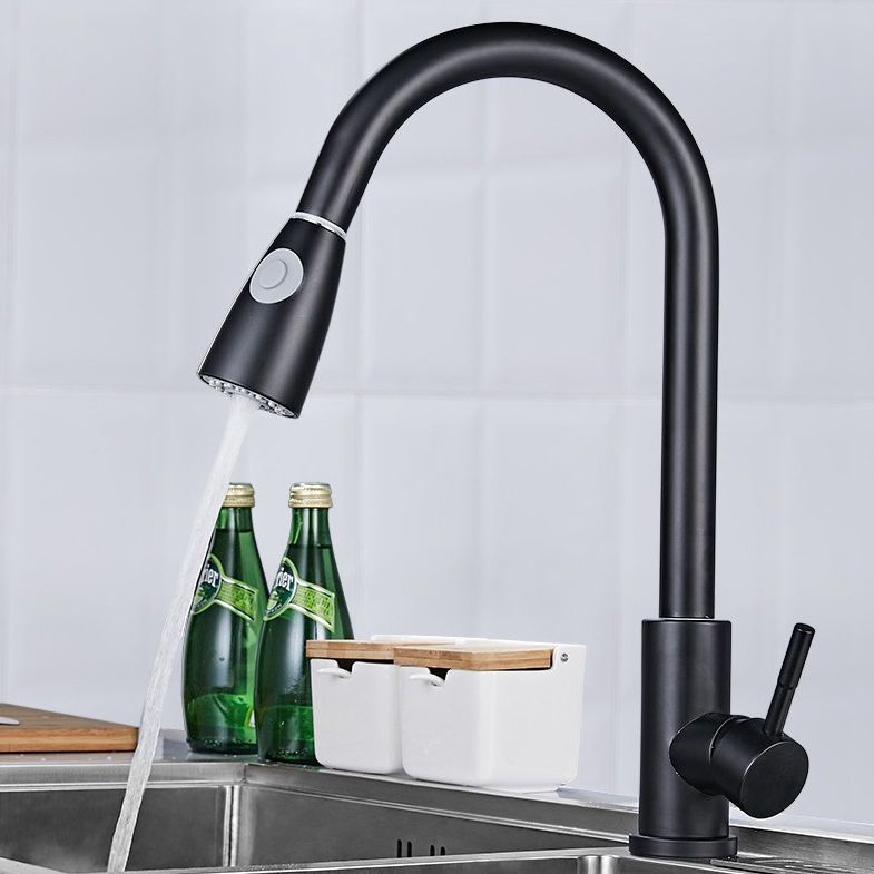 Modern 1-Handle Faucet 304 Stainless Steel with Water Dispenser Pull down Faucet