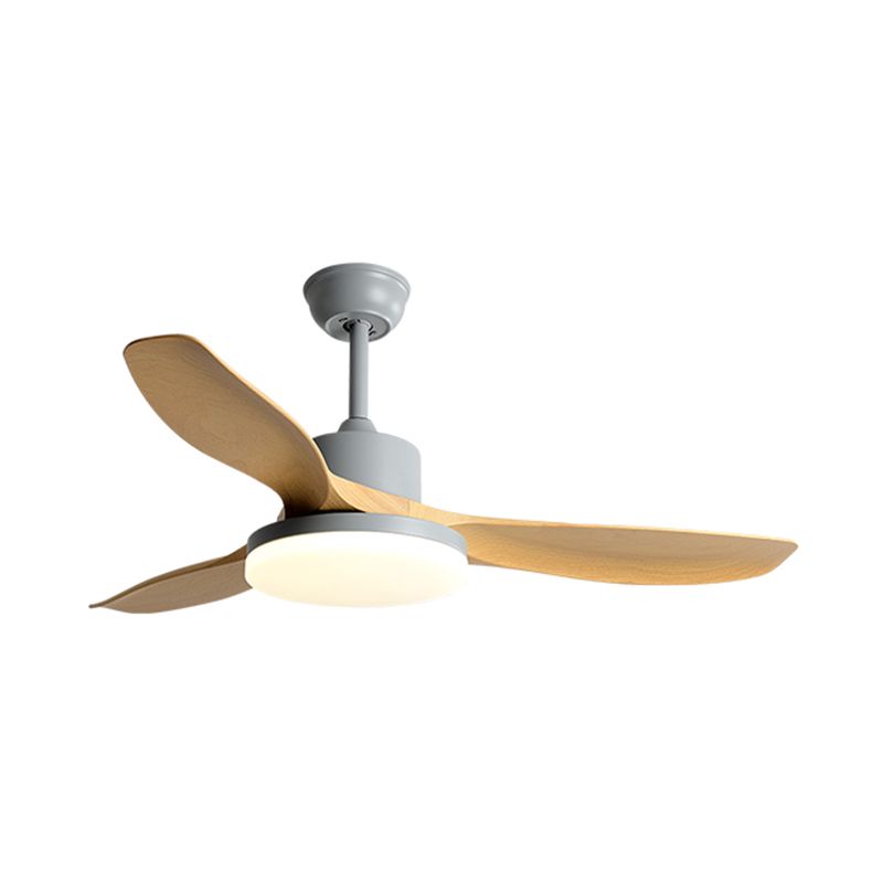 1 - Light Contemporary Ceiling Fan 3 - Blades Fan Light for Room