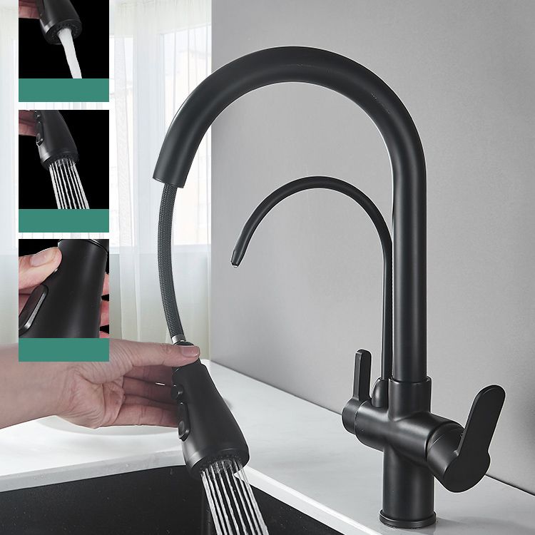 Contemporary Two Handles Kitchen Faucet Double Faucet 1-Hold Faucet