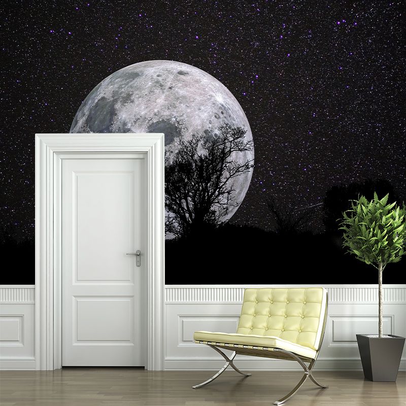 Planet Wall Mural Wallpaper Novelty Style Mildew Resistant for Living Room